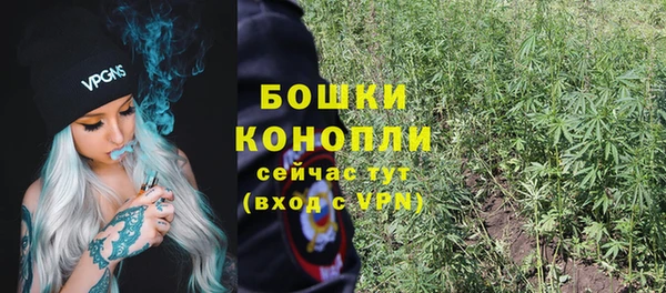 ПСИЛОЦИБИНОВЫЕ ГРИБЫ Михайловка