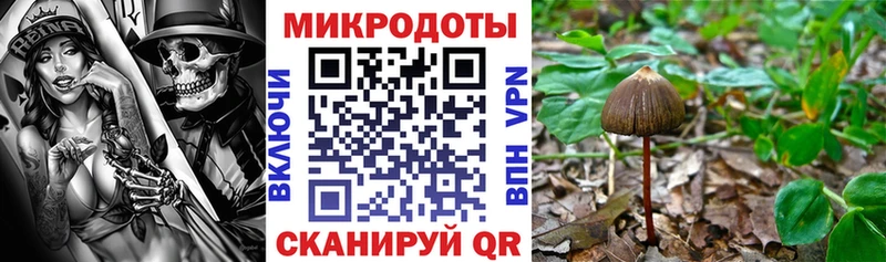 Псилоцибиновые грибы мухоморы  Нелидово 